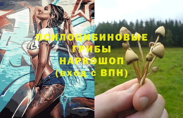 бошки Вязьма