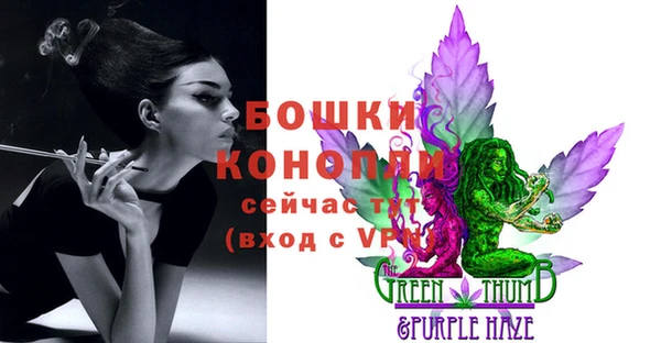 бошки Вязьма
