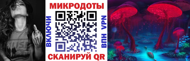 Псилоцибиновые грибы мицелий  Купить  Циолковский 